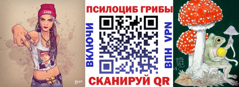Псилоцибиновые грибы Psilocybine cubensis mega вход Тихорецк даркнет сайт